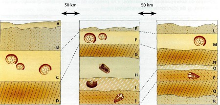 Geologia: Tema 1 - Capitulo 3 - A medida do tempo e a idade relativa